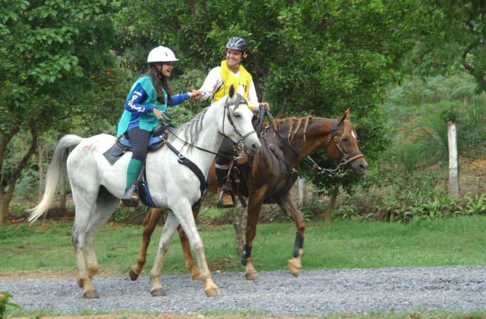 Foto do acervo 5