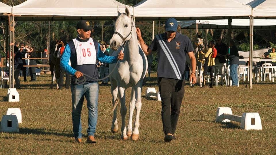 CAMPEONATO BRASILEIRO - CBEE 2026 — foto 13