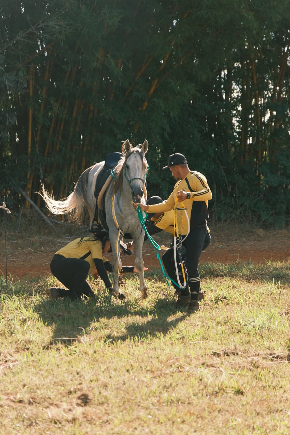 CAMPEONATO BRASILEIRO - CBEE 2026 — foto 27