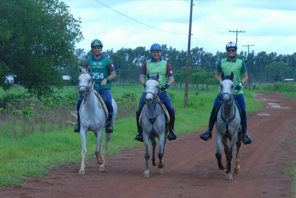 Foto do acervo 9