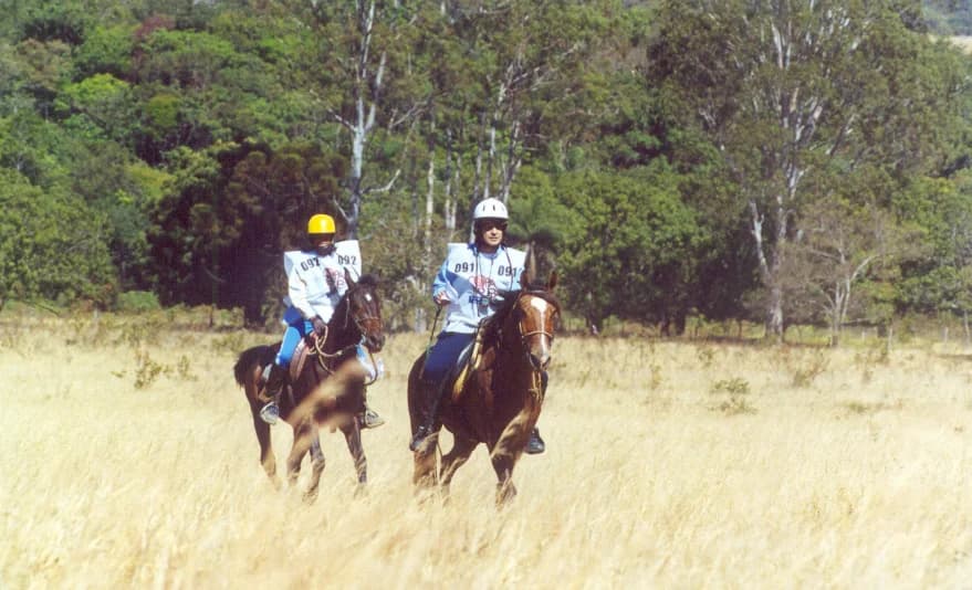 Foto do acervo 35