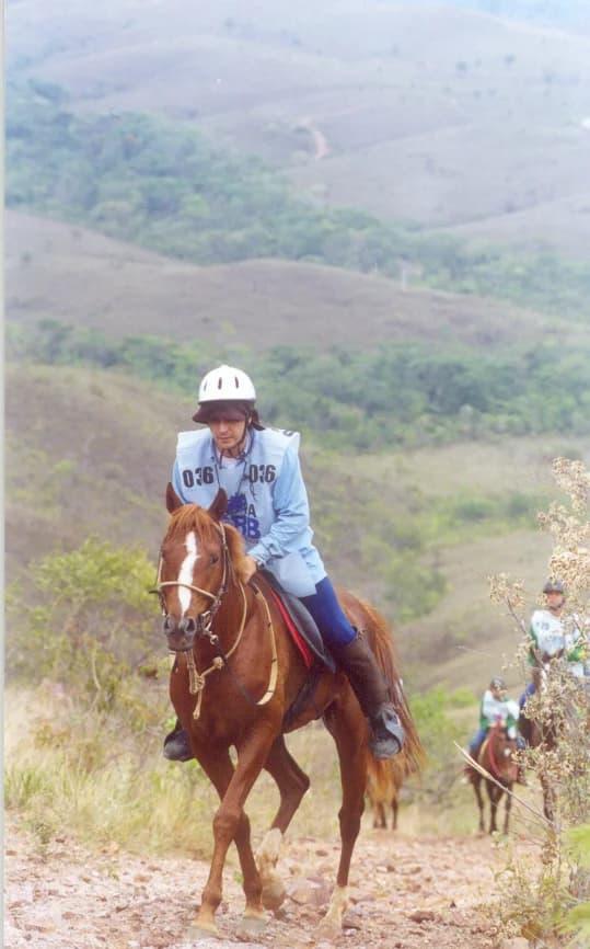 Foto do acervo 39