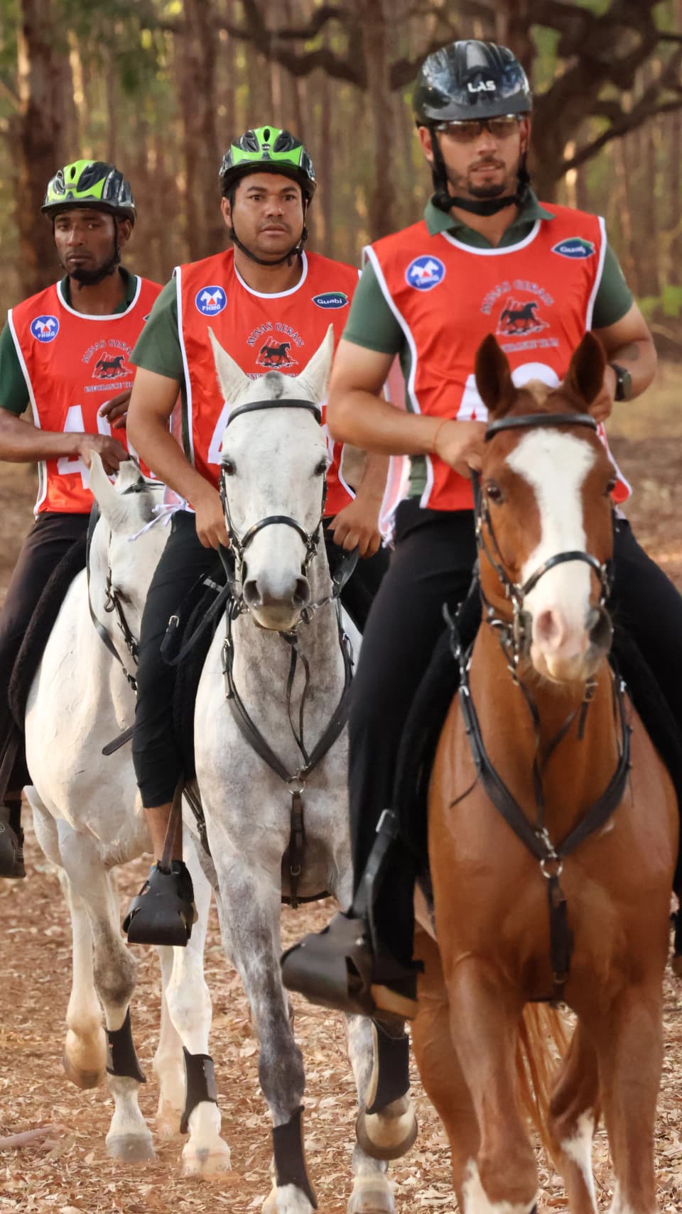 Campeonato mineiro —  28 e 29 de agosto — foto 41