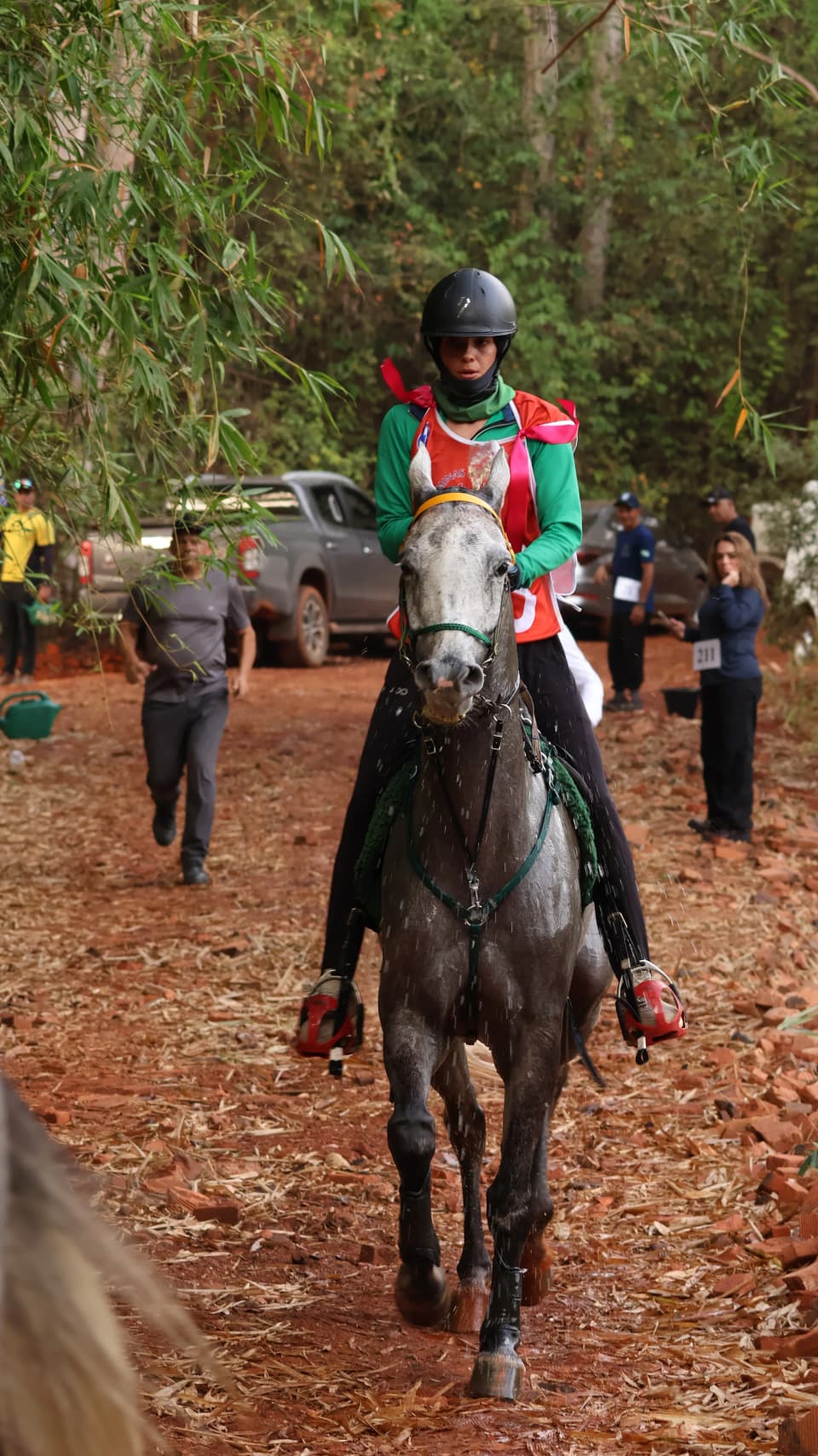 Campeonato mineiro —  28 e 29 de agosto — foto 65