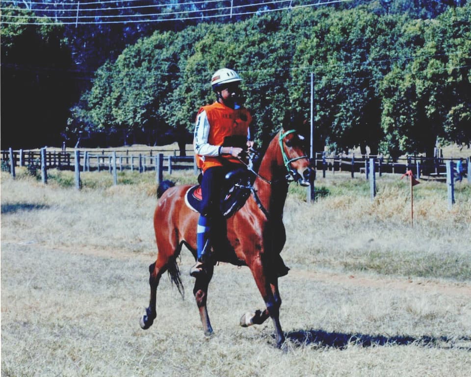 Foto do acervo 41