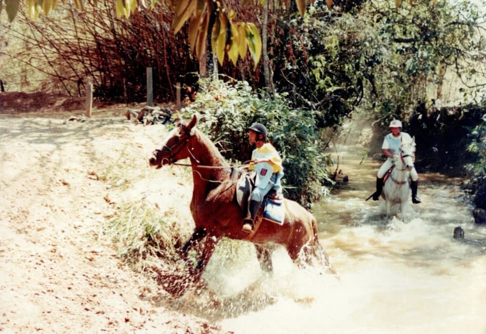 Foto do acervo 43