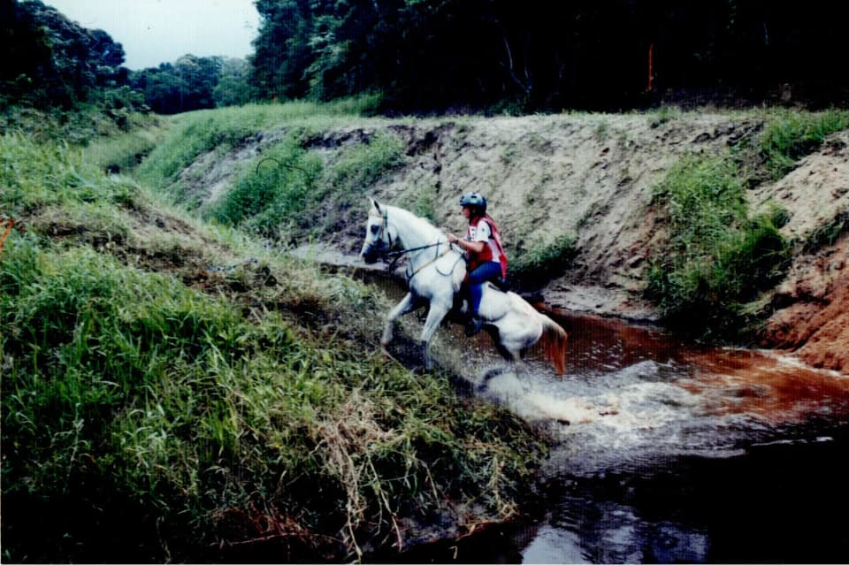 Foto do acervo 45