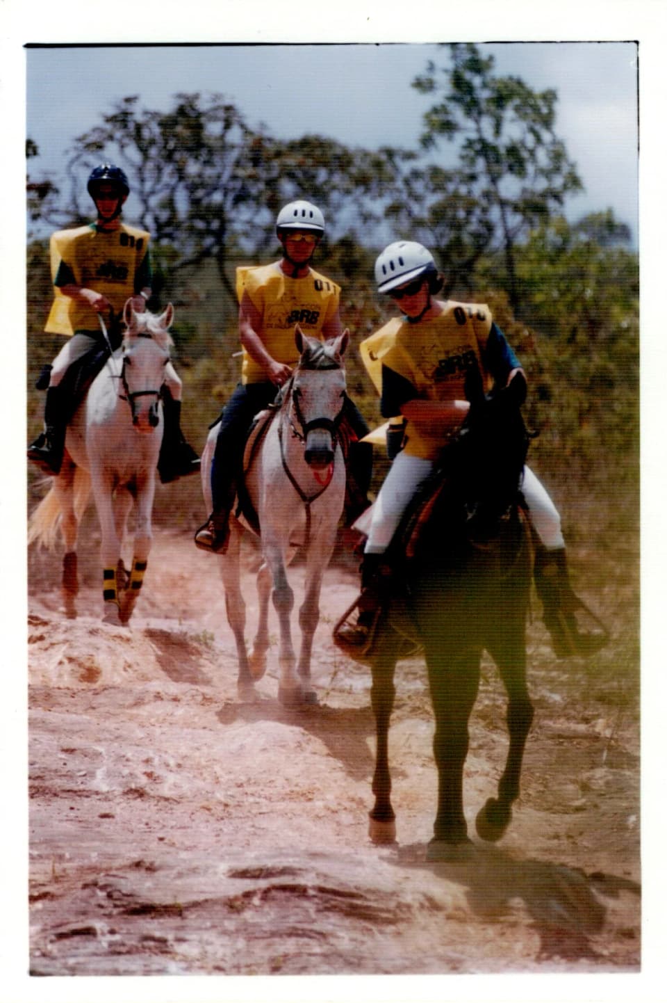 Foto do acervo 52
