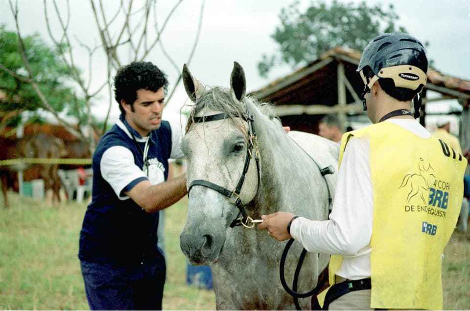 Foto do acervo 11