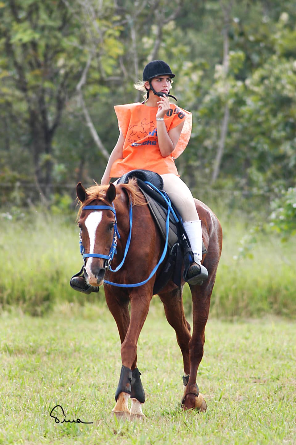 Foto do acervo 16