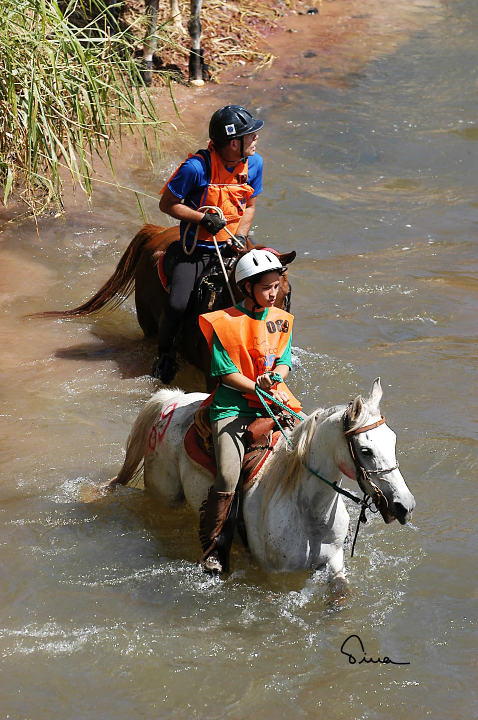 Foto do acervo 24