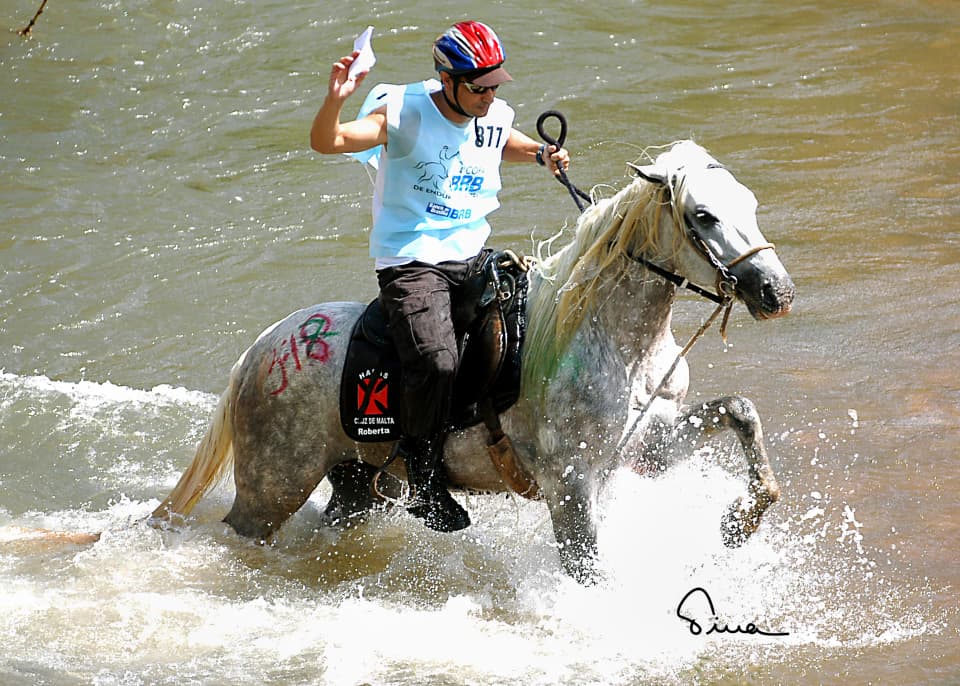 Foto do acervo 29