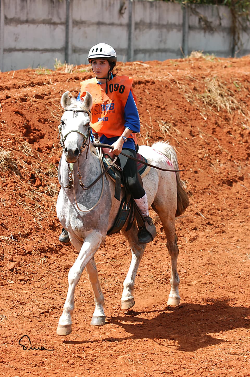 Foto do acervo 28