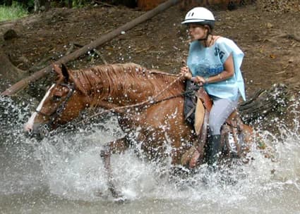 Foto do acervo 31