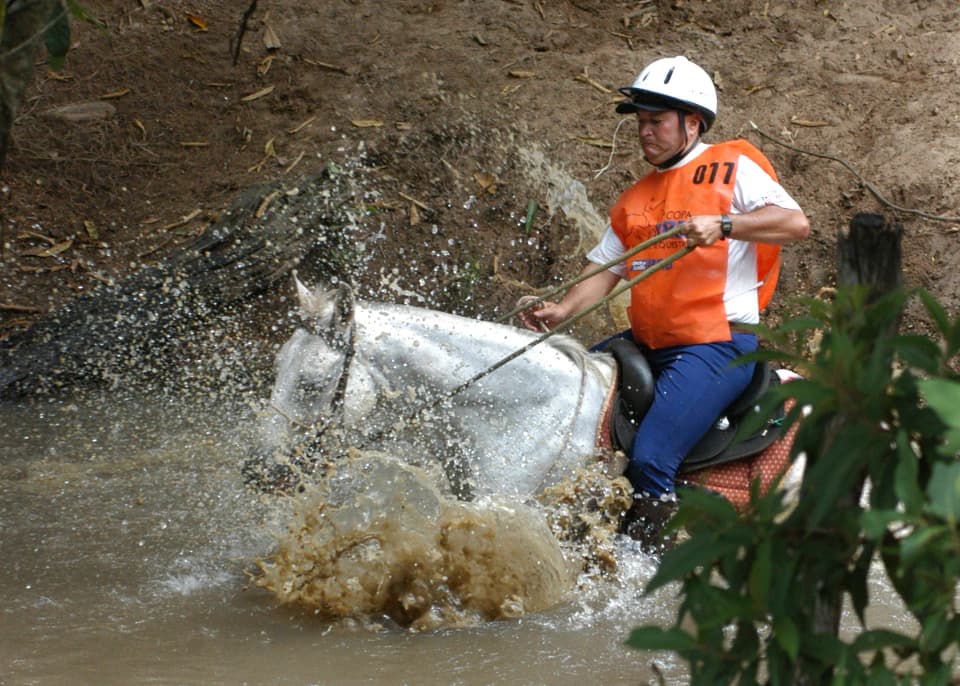 Foto do acervo 33