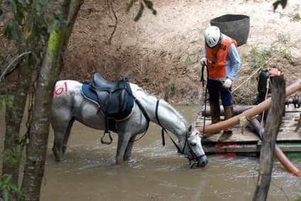 Foto do acervo 34