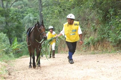 Foto do acervo 36
