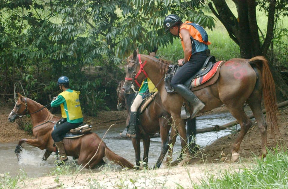 Foto do acervo 59