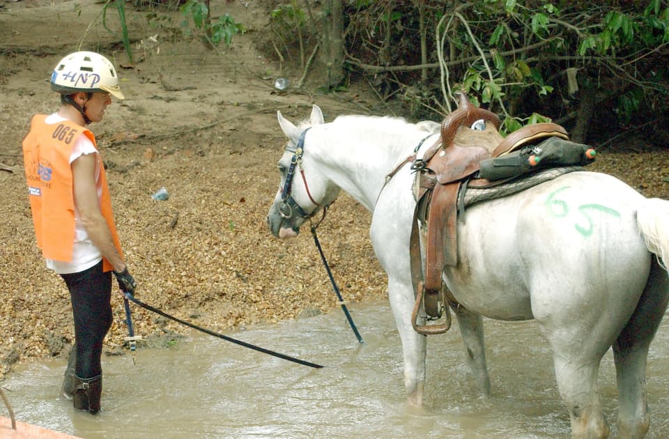 Foto do acervo 65