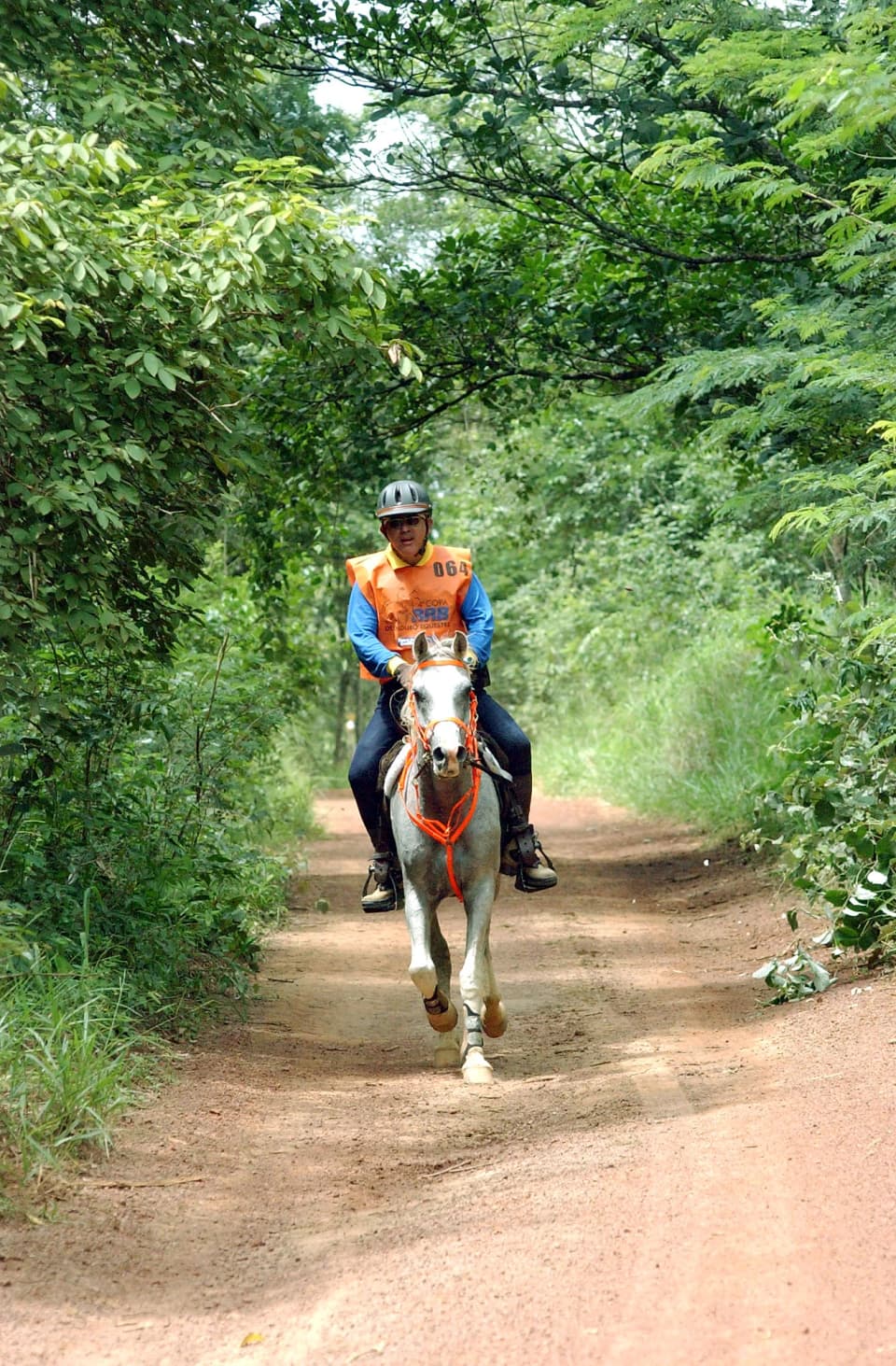 Foto do acervo 57