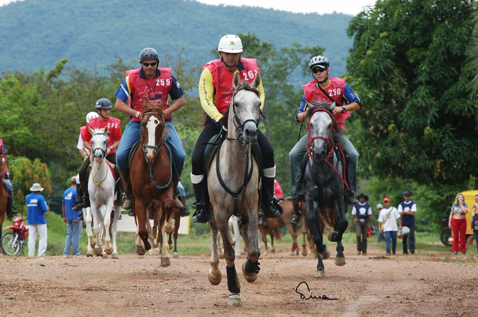 Foto do acervo 74