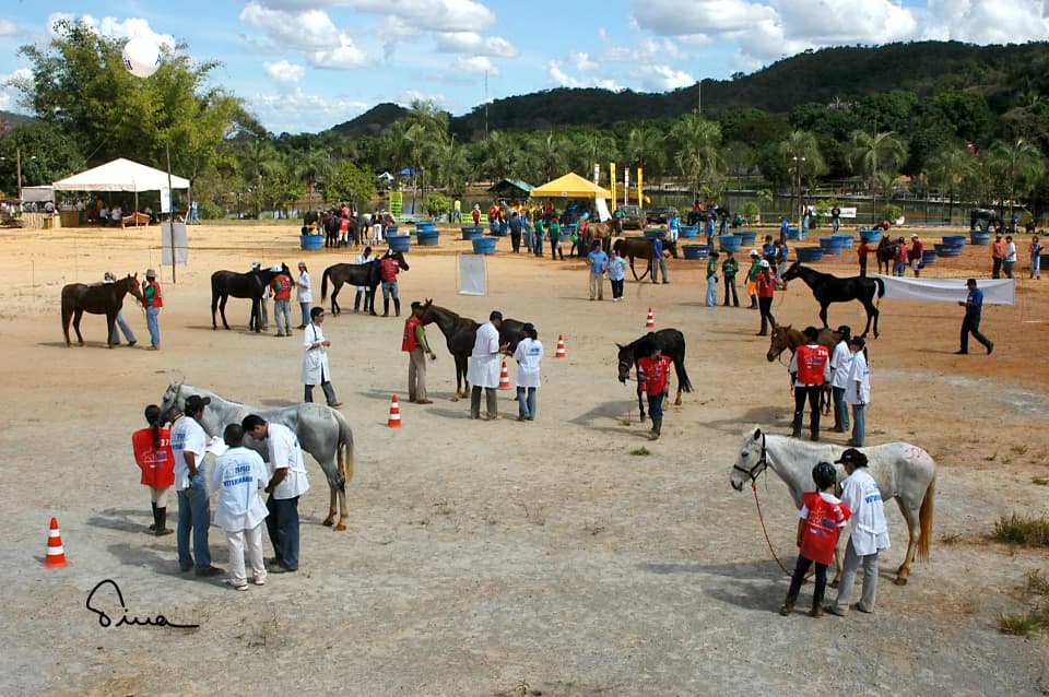 Foto do acervo 76